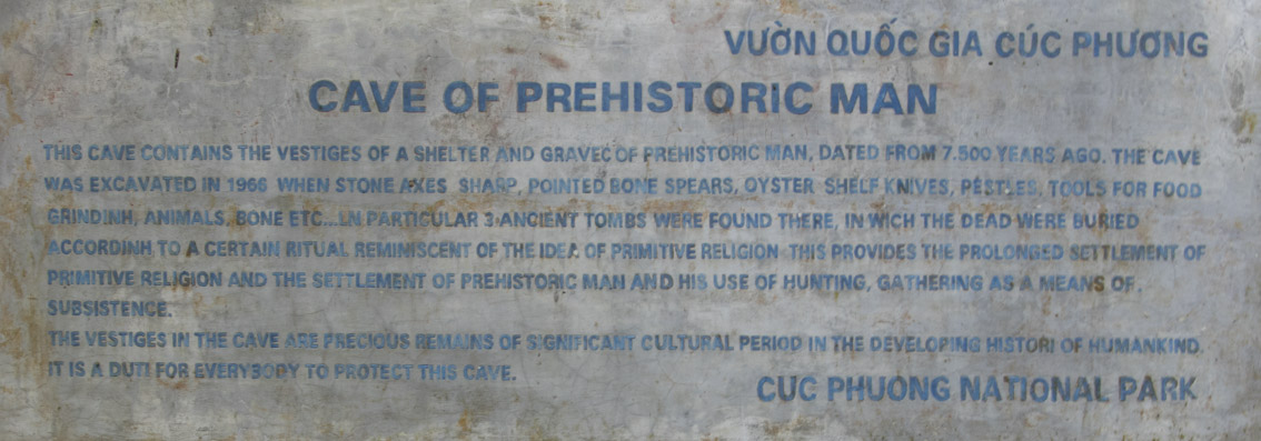Cuc Phong
