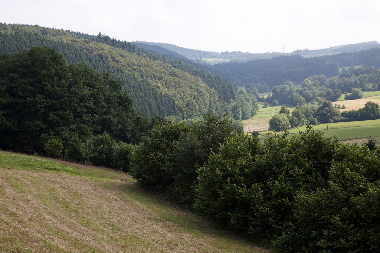 Natur pur