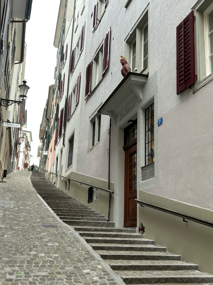 Altstadt Zürich. 