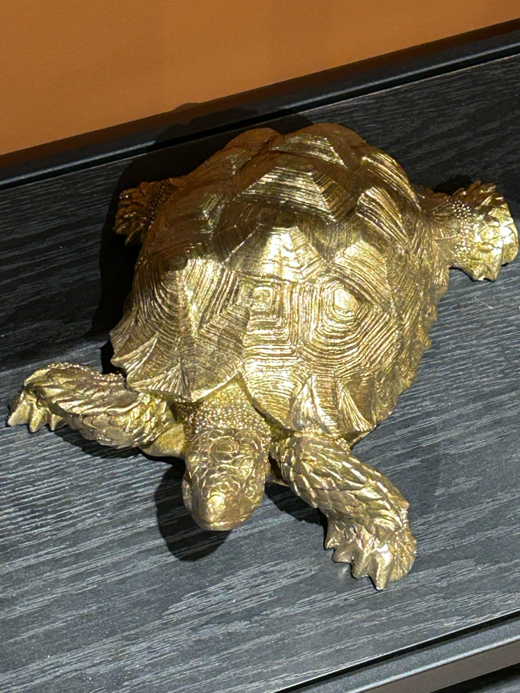 Schildkröte. 