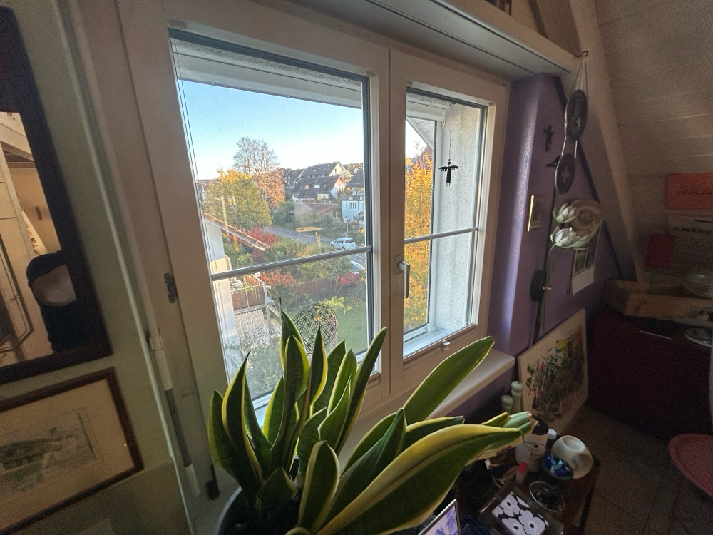 Küchenfensterblick.