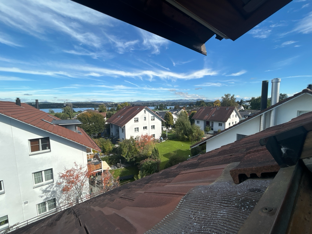 Dieser Ausblick. Über den Greifensee. Immer wieder HERZ ♥️- berührend. 