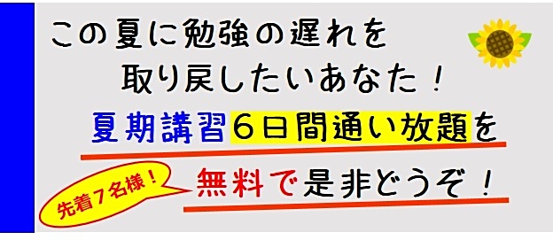 「この夏に勉強の遅れを取り戻したいあなた！夏期講習6日間通い放題を無料で是非どうぞ！先着7名様！」キャッチコピー画像