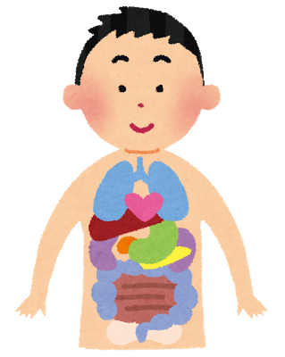 名古屋　整体　撫の樹