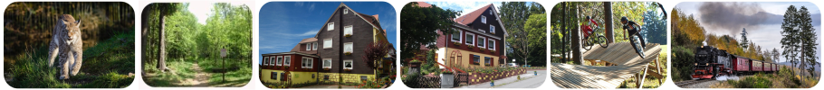 Hotel Braunlage - Hotel Hecker