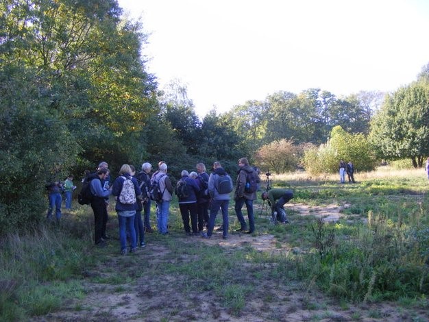 Speurende groep (foto Remco Vos)