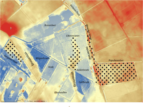 hoogtekaart met terrestrische bossen, Eiken-Haagbeukenbos
