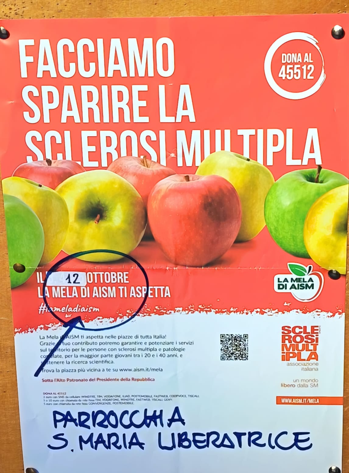 Sclerosi Multipla