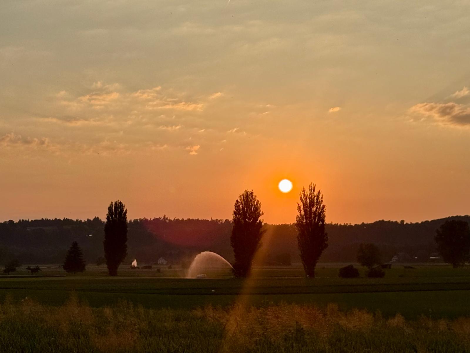 Feierabend- Training