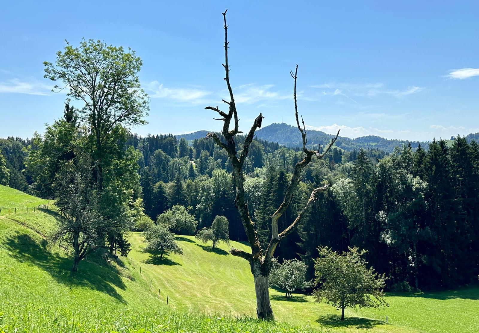 Elgg - Hörnli; Testwanderung