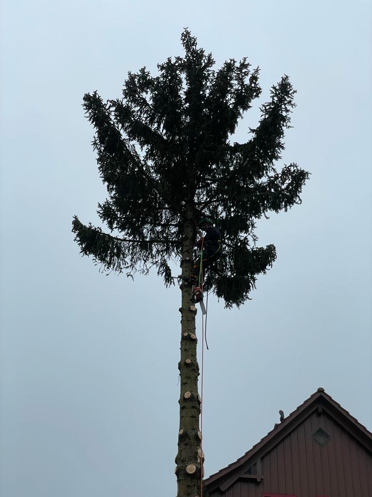 ...so bis zur Spitze.