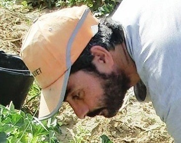 Laurent Cogoluègnes, Produzent von Melonen