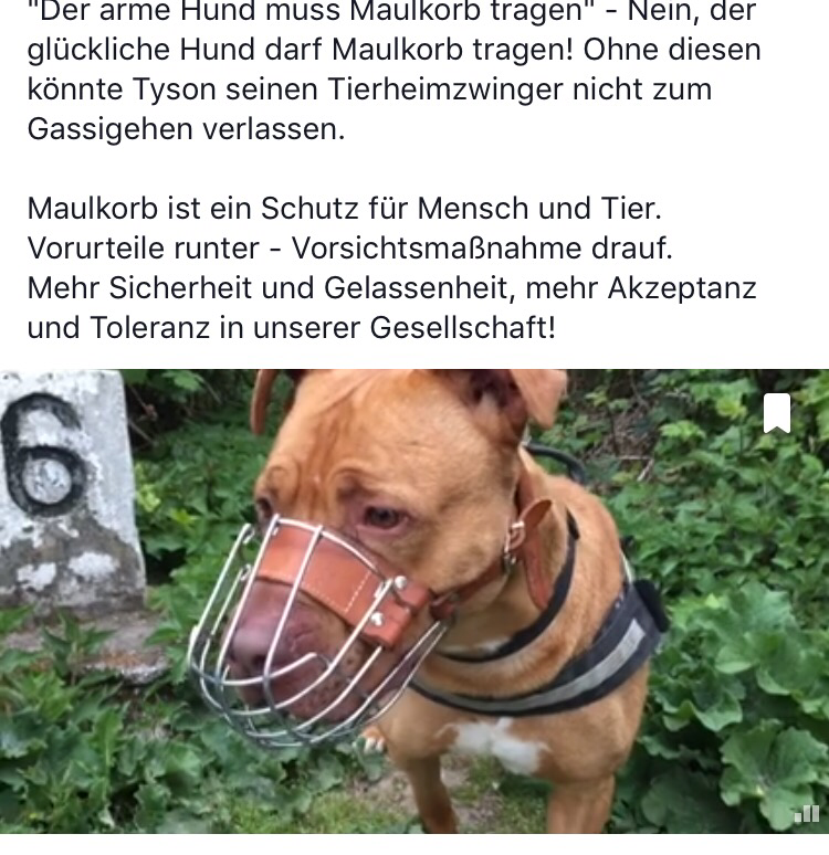 Cool draufMaulkorb auf! ListenhundCare