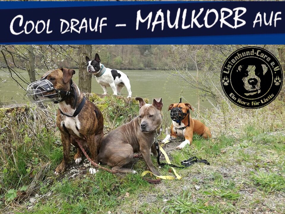 Cool draufMaulkorb auf! ListenhundCare