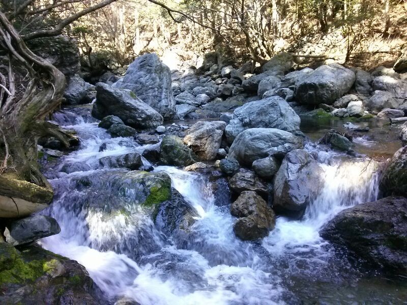 薗川上流の流れ