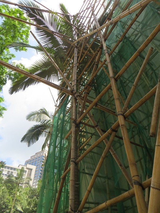 Baugerüst aus Bambus 