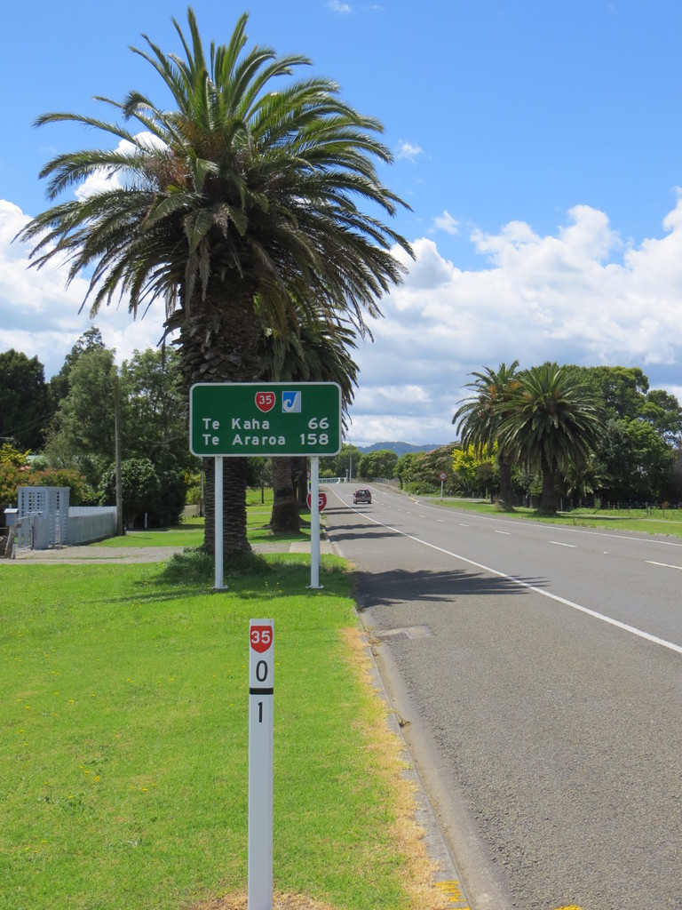 Zwischen und und Te Araroa liegt noch der ein oder andere Kilometer