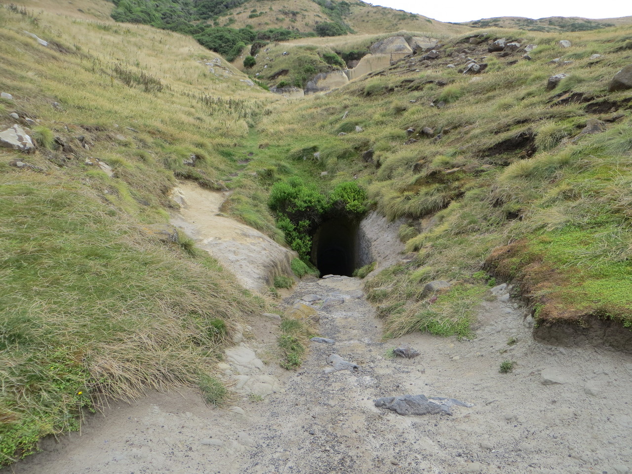 Ein Loch in der Erde... der Eingang zum Tunnel