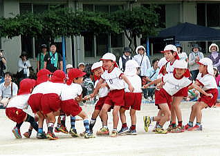 アルバム 運動会 平和幼稚園 宮崎市