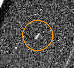 Aufnahme Cordelias von Voyager 2 am 22. Januar 1986.