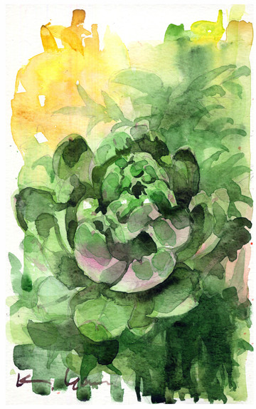 artichoke