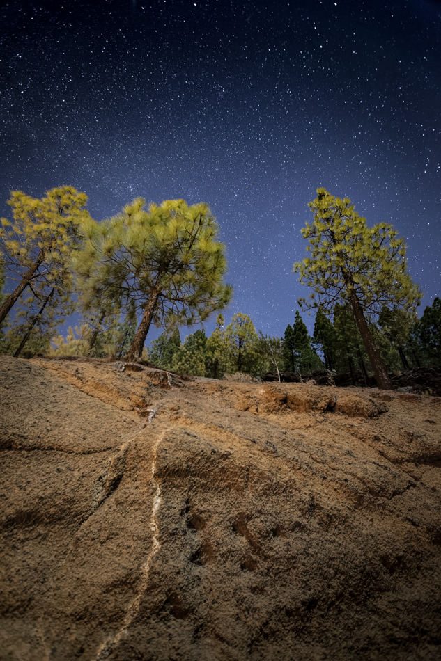 TENERIFFA by Night