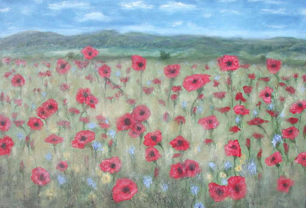 Klatschmohnwiese *2005 #67x47cm