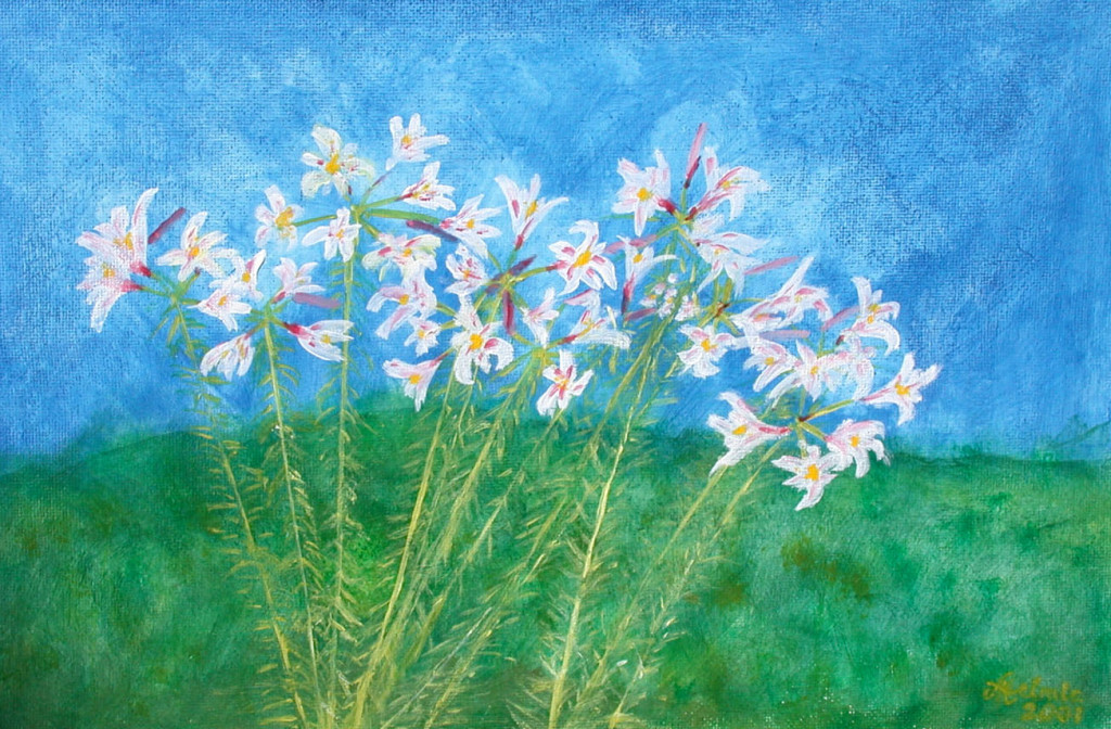 Lillien im Garten *2001 # 40x60cm