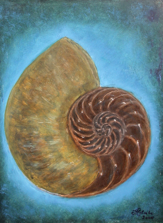Fossilie - Posthornschnecke *2004 #60x45cm (in weißer Metallfassung)