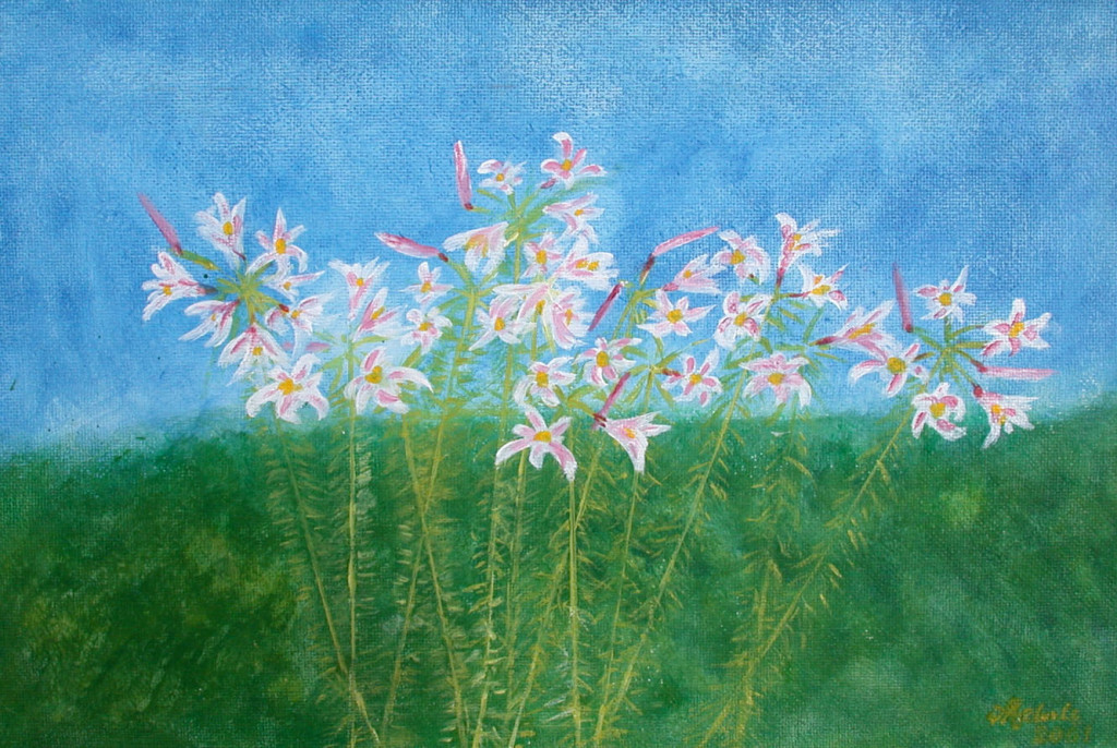 Lilienim Garten *2001 #47x67cm (Eigenreplik) //gerahmt