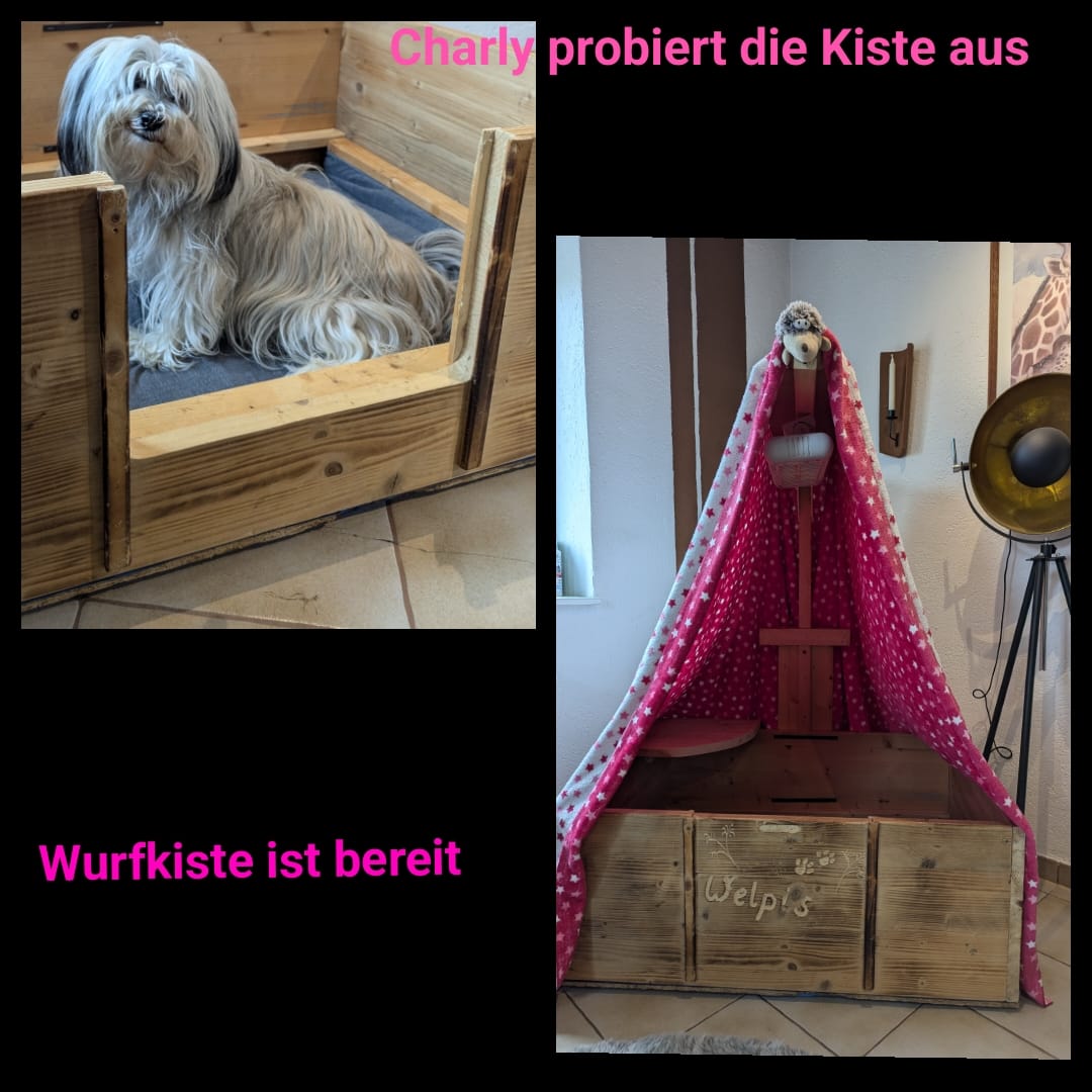Vorbereitungen laufen