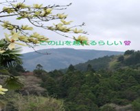 土佐北街道　④　（本山大橋～領石）令和7年4月20日（日）