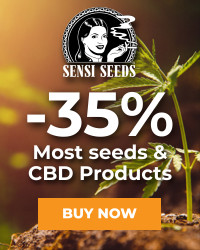 banner sensi seeds 