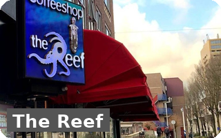 Coffeeshop the reef rotterdam