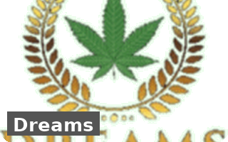 coffeeshop dreams rotterdam