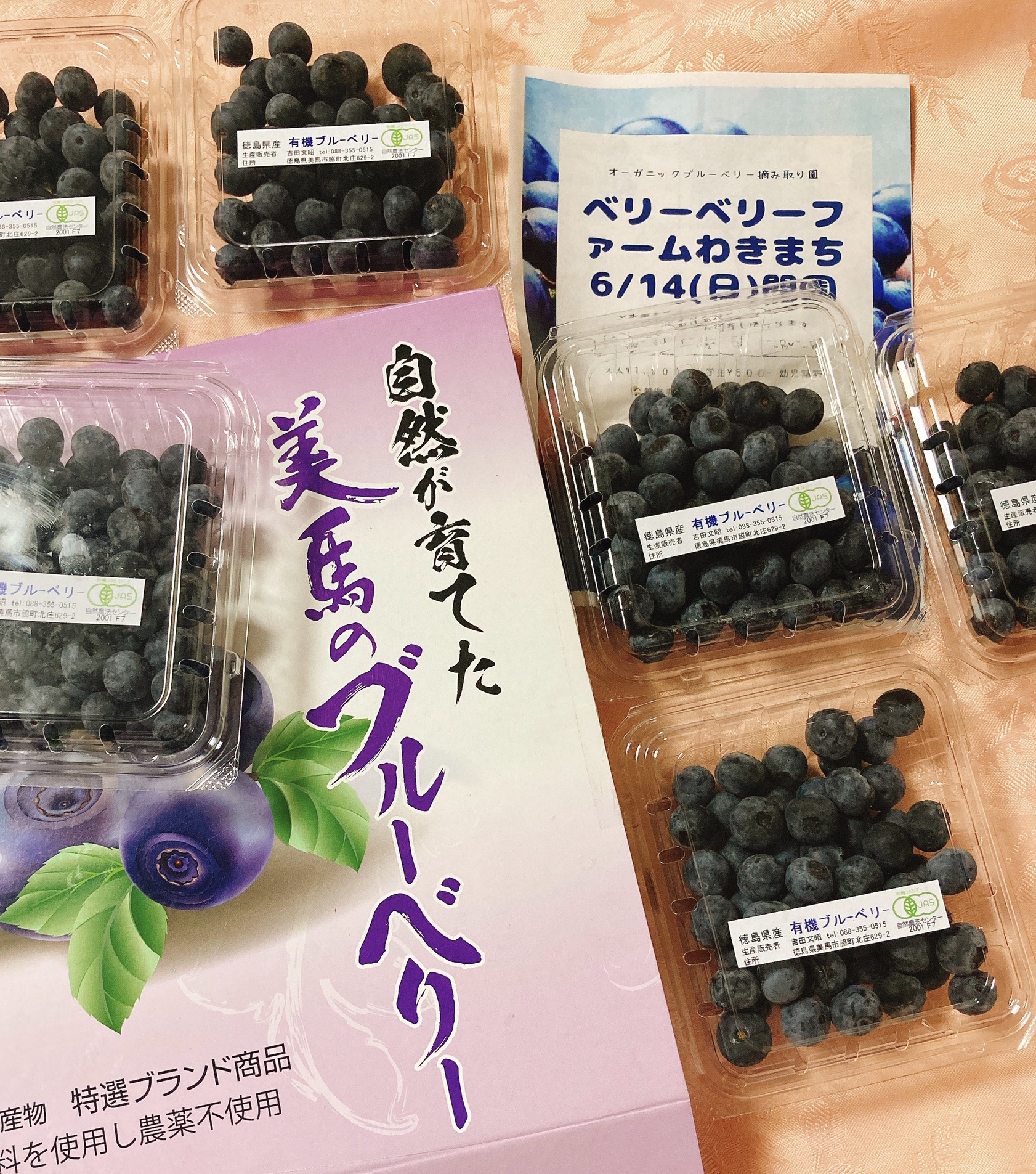 【ギフト】お持ち帰り･指定日の郵送可