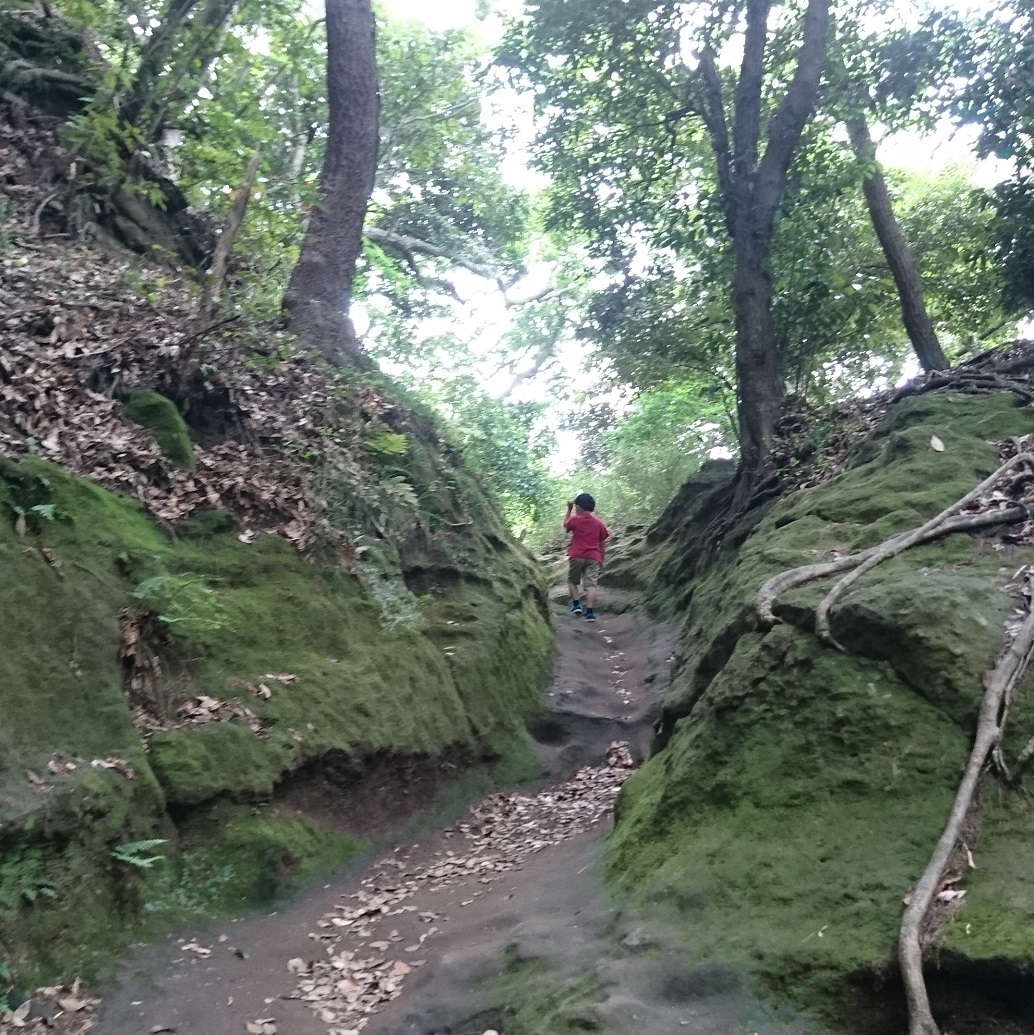 鎌倉アルプス 天園ハイキングコース マップ 服装 オススメ情報 よく読まれる記事