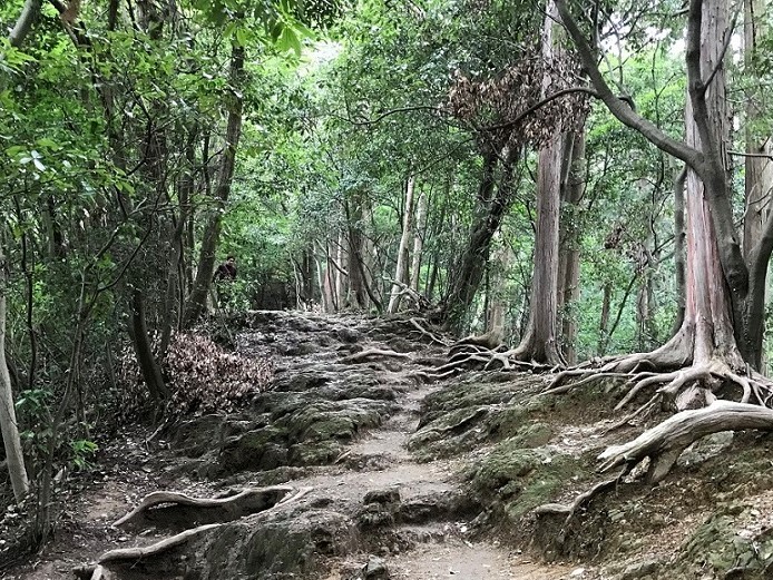 高尾山_稲荷山コース2：登山初心者＆子供連れ向けの山登り・トレッキング・ハイキングコース