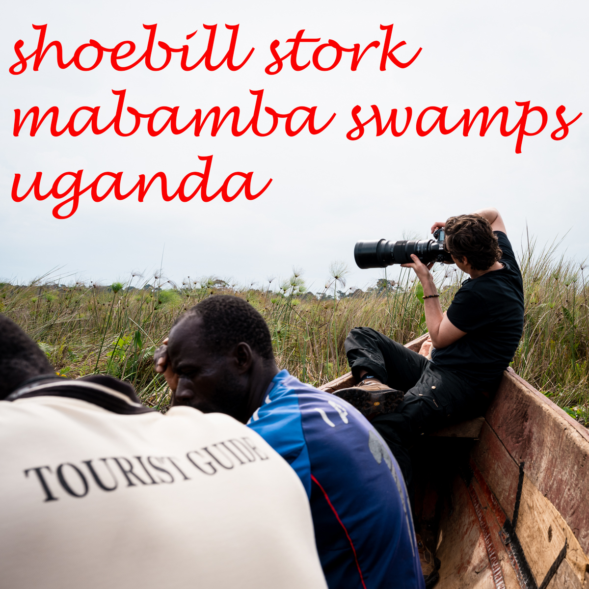 overlanding reisebericht uganda - in den mabamba swamps auf der suche nach dem schuhschnabel