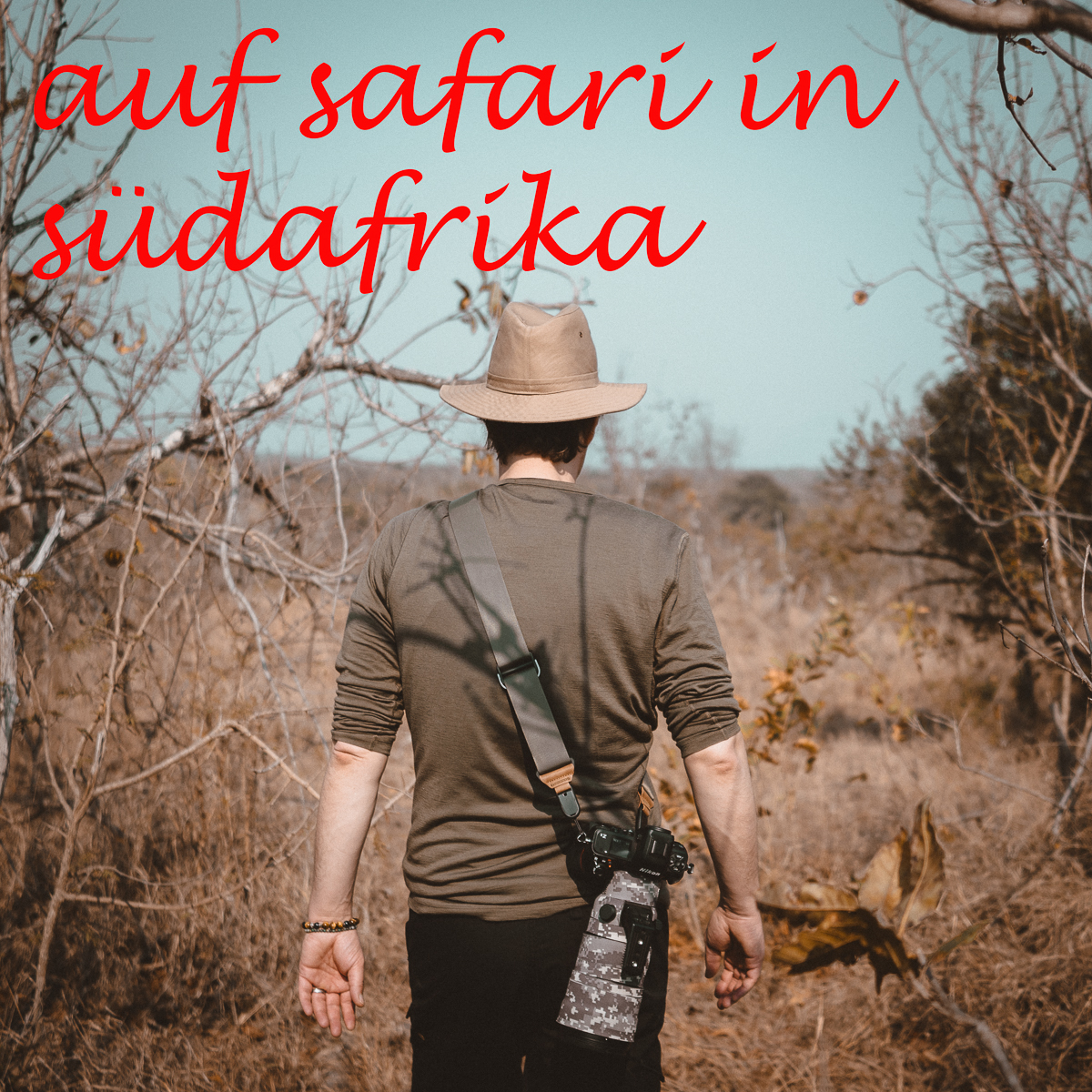 reisebericht: auf safari im südafrikanischen lowveld