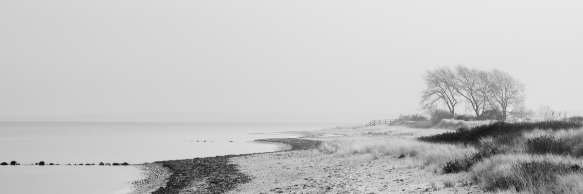 mist hohwacht | baltic sea | germany 2020