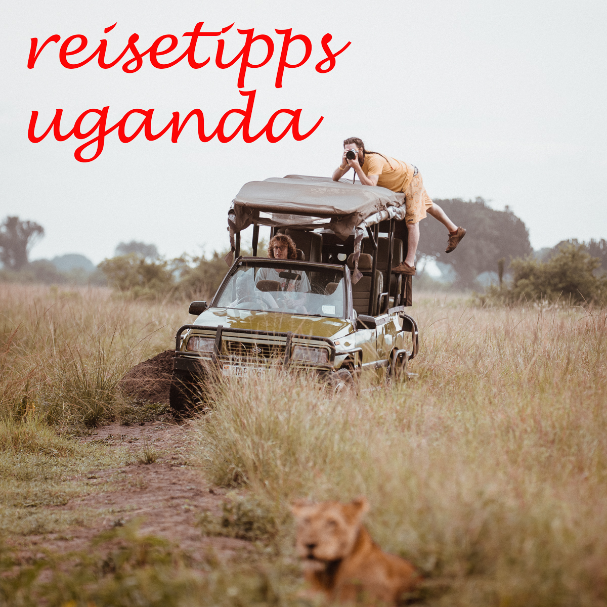 overlanding reisebericht: reiseplanung uganda, was gilt es zu beachten?