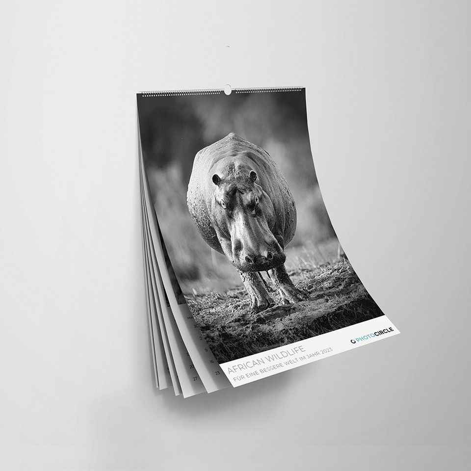 Meine neuen "Fine Art Wildlife" und "Fine Art Hamburg" Kalender sind ab sofort bei Photocircle verfügbar