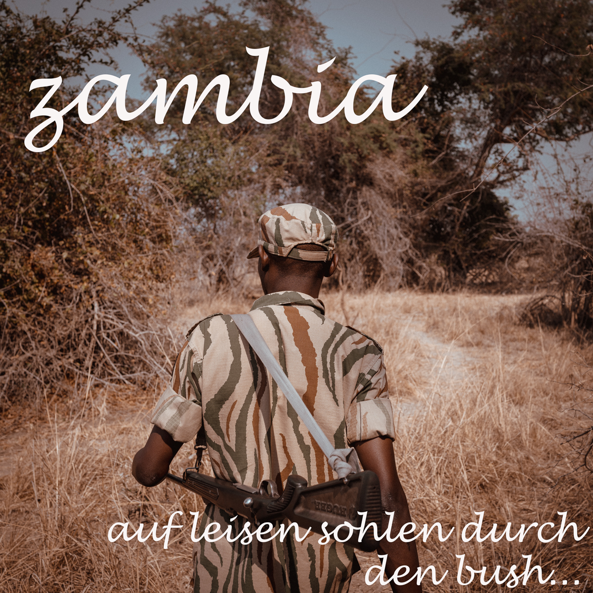 overlanding reisebericht sambia - selbstfahrerreise sambia - auf leisen sohlen durch den bush...