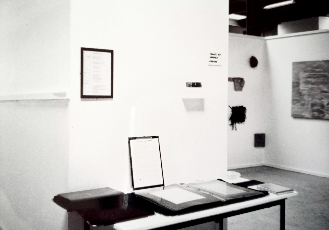 Vista de mi Degree Show, Quick Silver Place 1992.