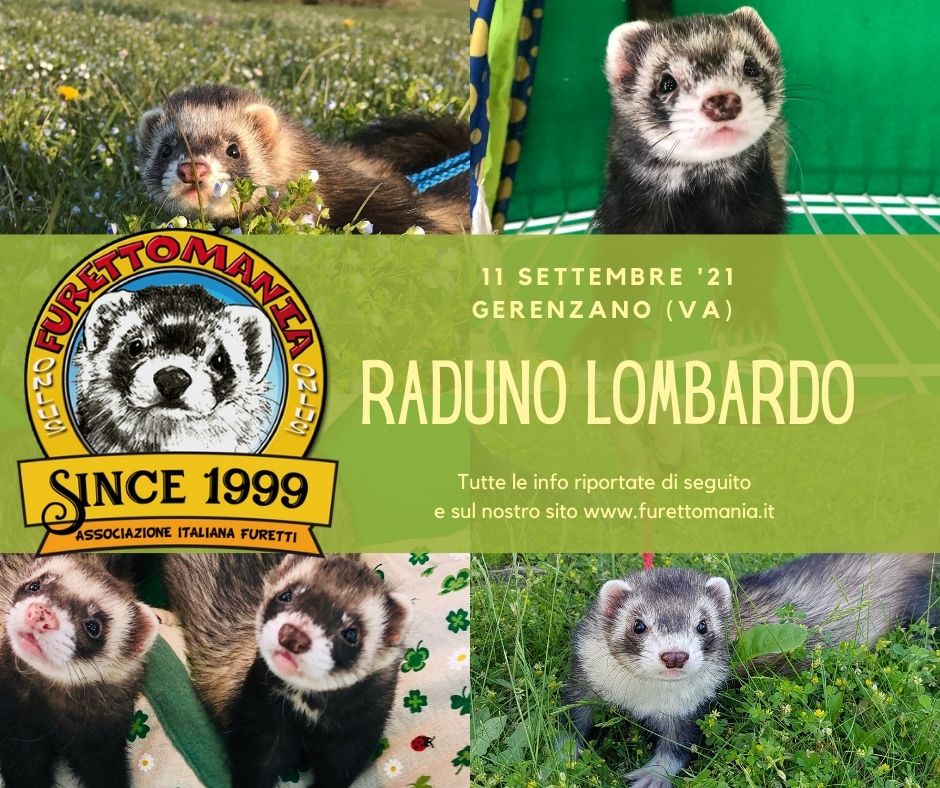 Evento Lombardo - 11 Settembre '21