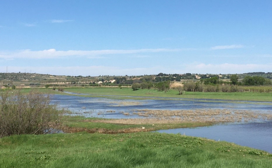 Quelques données sur l’étang de Capestang