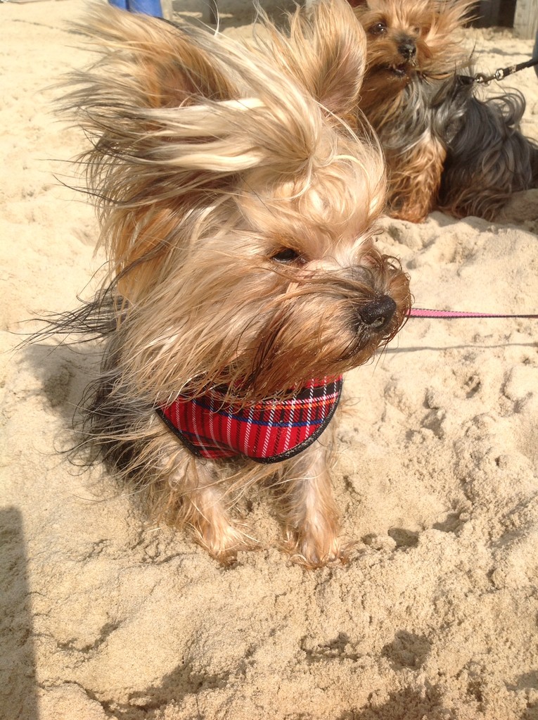 Genieten op het strand