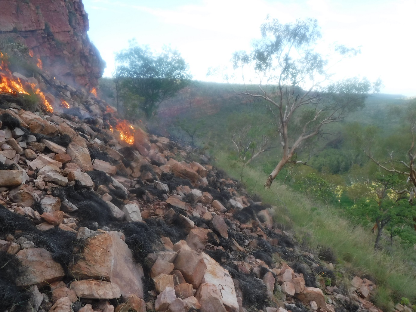 Fire is simply one of many tools available to manage a landscape - when uncontrolled, it can be an unforgiving master