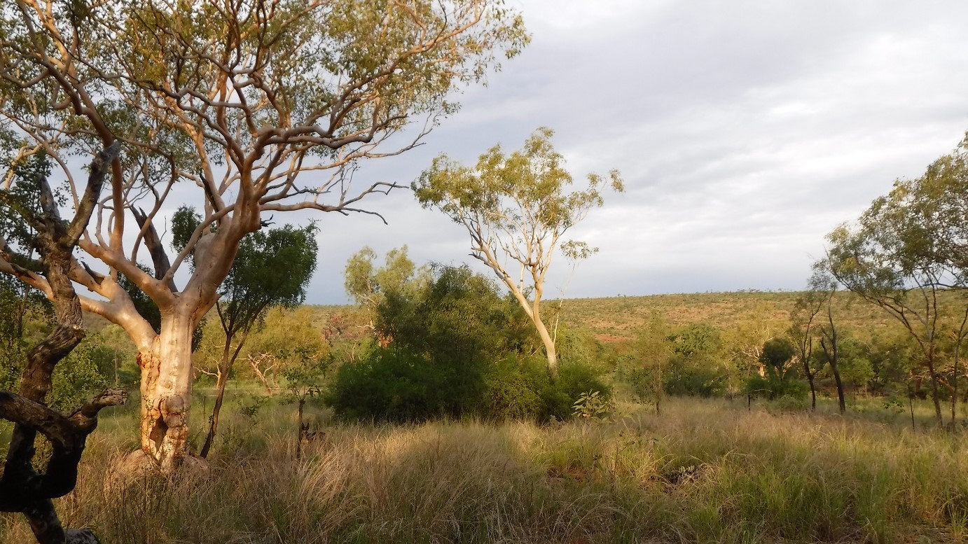 After months of dry, hot and often windy weather, Nature is now fully awake